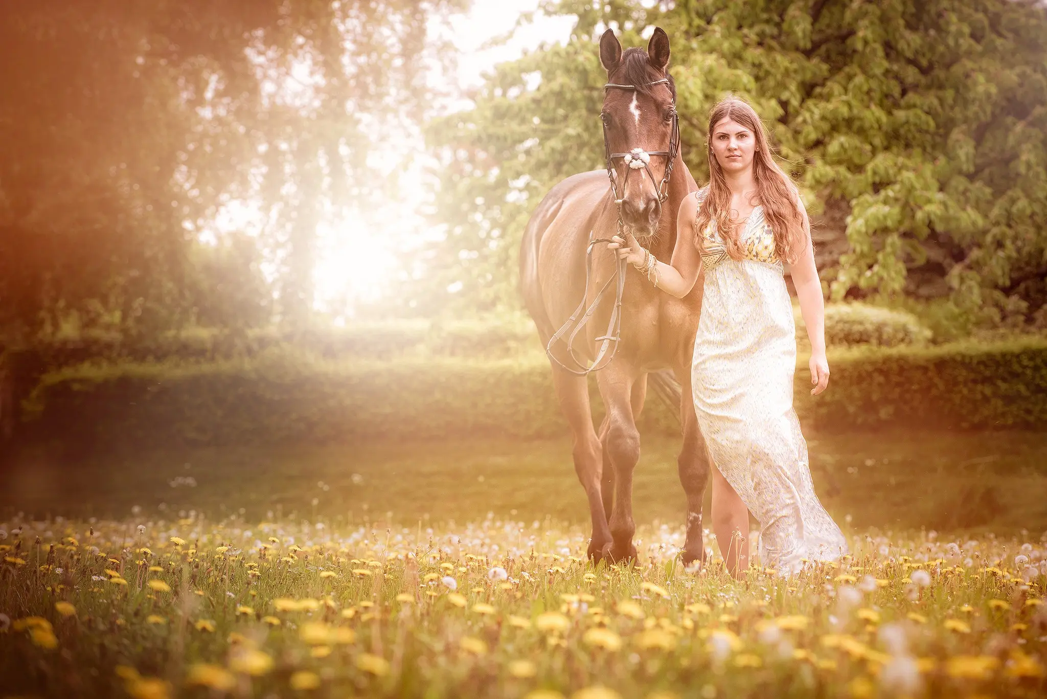 Junge Frau im weißen Kleid mit Pferd im Gegenlicht auf einer Blumenwiese