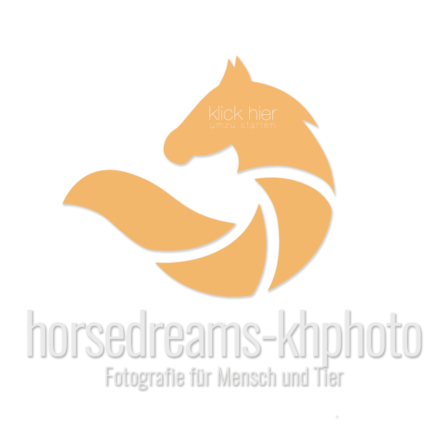 HORSEDREAMS|KHPHOTO